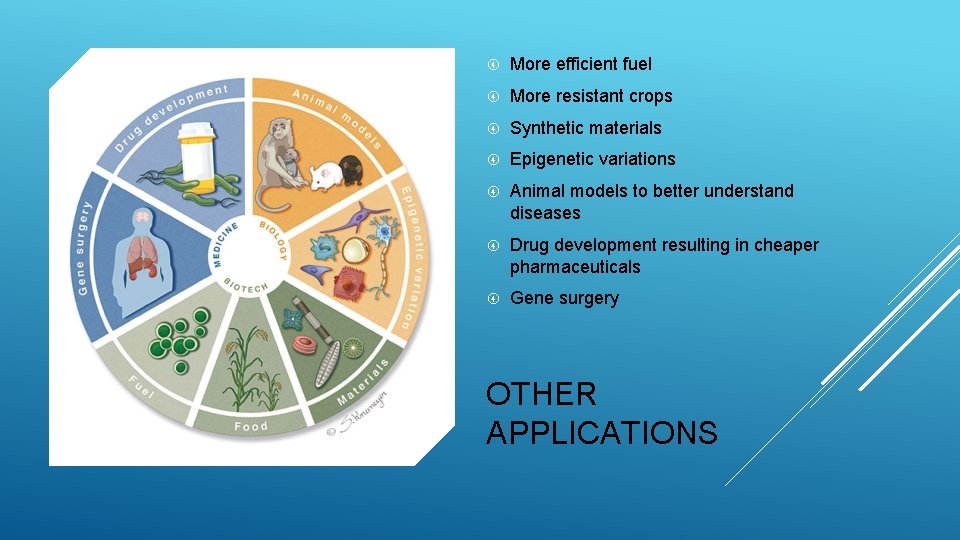  More efficient fuel More resistant crops Synthetic materials Epigenetic variations Animal models to