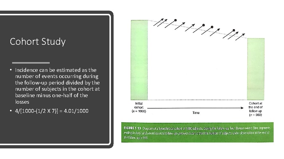 Cohort Study • Incidence can be estimated as the number of events occurring during