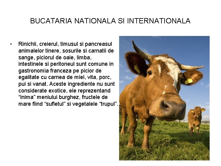BUCATARIA NATIONALA SI INTERNATIONALA • Rinichii, creierul, timusul si pancreasul animalelor tinere, sosurile si
