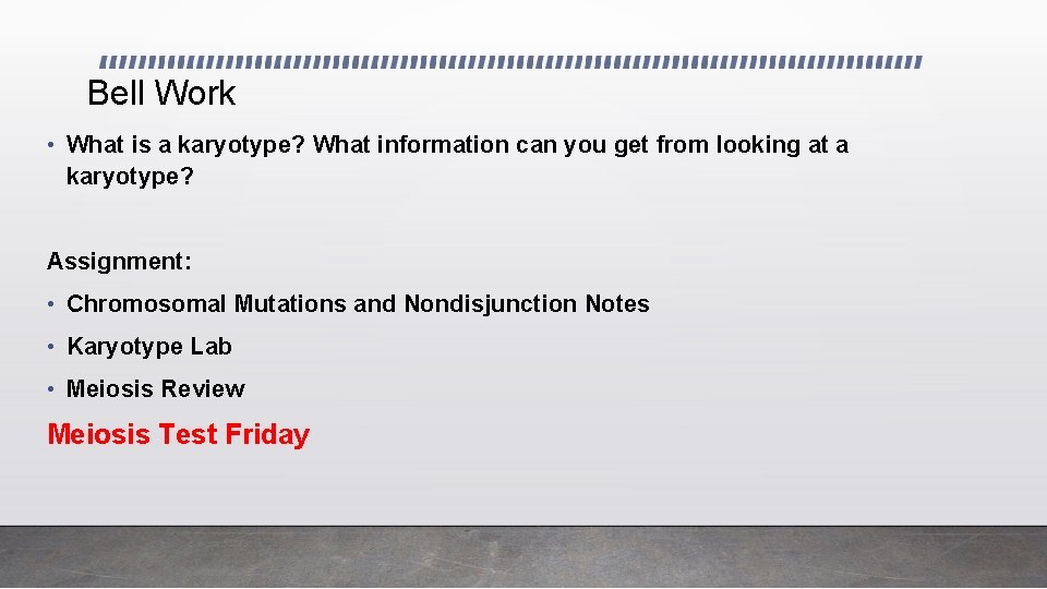 Bell Work • What is a karyotype? What information can you get from looking