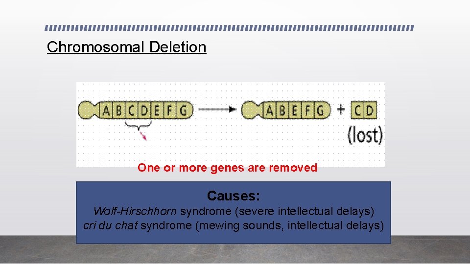 Chromosomal Deletion One or more genes are removed Causes: Wolf-Hirschhorn syndrome (severe intellectual delays)