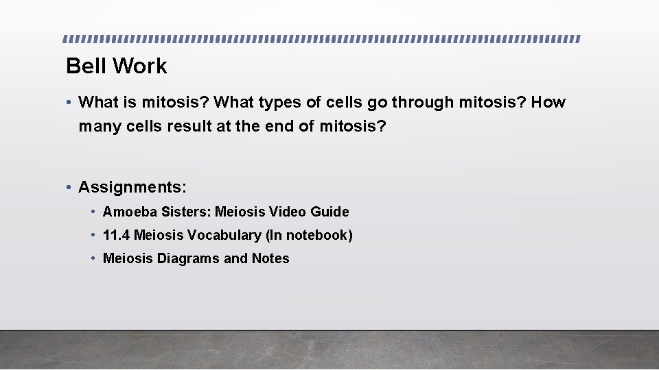 Meiosis Bell Work What is mitosis What types