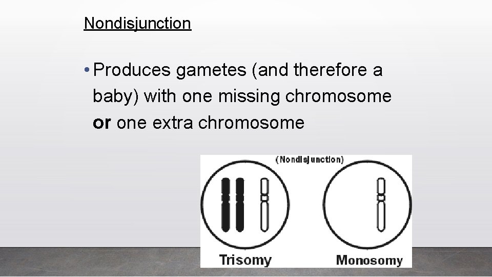 Nondisjunction • Produces gametes (and therefore a baby) with one missing chromosome or one