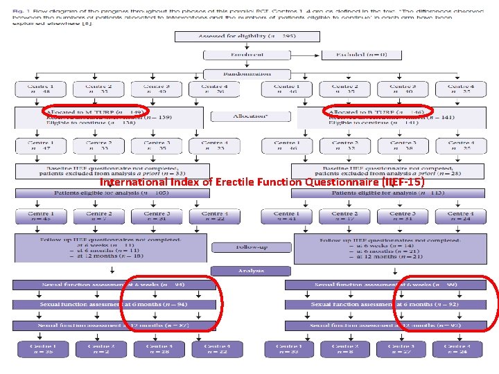 International Index of Erectile Function Questionnaire (IIEF-15) 