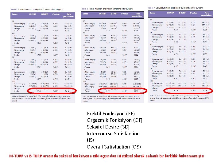 Erektil Fonksiyon (EF) Orgazmik Fonksiyon (OF) Seksüel Desire (SD) Intercourse Satisfaction (IS) Overall Satisfaction