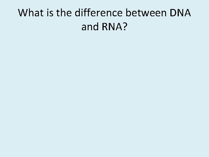 What is the difference between DNA and RNA? 