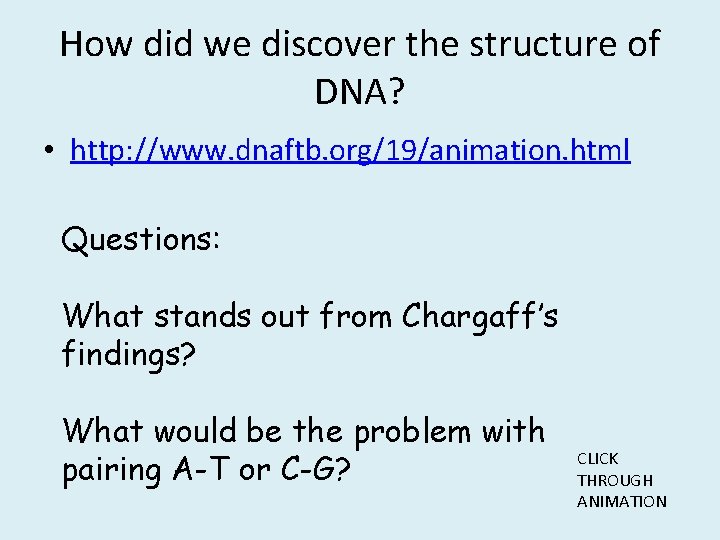 How did we discover the structure of DNA? • http: //www. dnaftb. org/19/animation. html