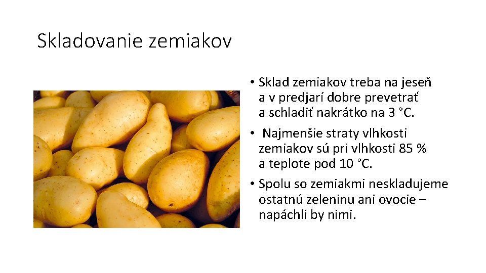Skladovanie zemiakov • Sklad zemiakov treba na jeseň a v predjarí dobre prevetrať a
