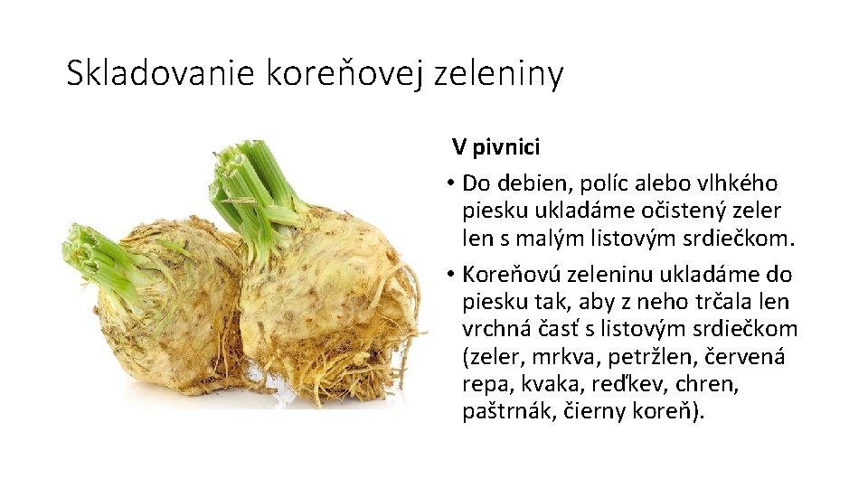 Skladovanie koreňovej zeleniny V pivnici • Do debien, políc alebo vlhkého piesku ukladáme očistený