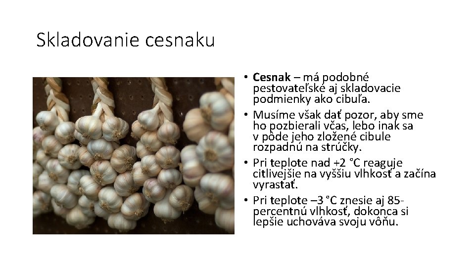 Skladovanie cesnaku • Cesnak – má podobné pestovateľské aj skladovacie podmienky ako cibuľa. •