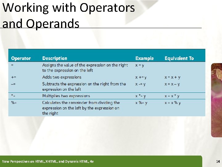 Working with Operators and Operands New Perspectives on HTML, XHTML, and Dynamic HTML, 4