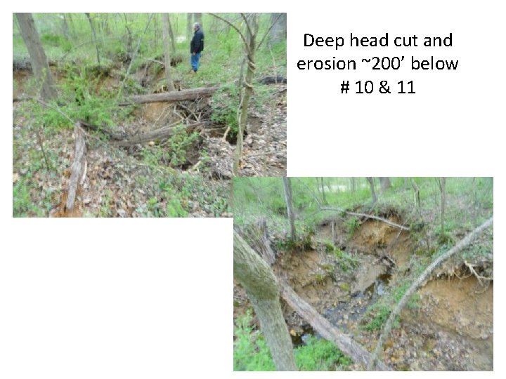 Deep head cut and erosion ~200’ below # 10 & 11 11 