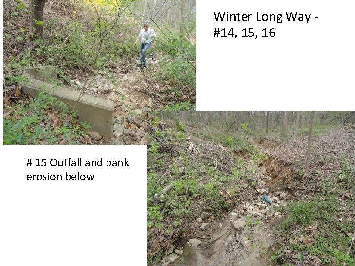 Winter Long Way #14, 15, 16 # 15 Outfall and bank erosion below 14