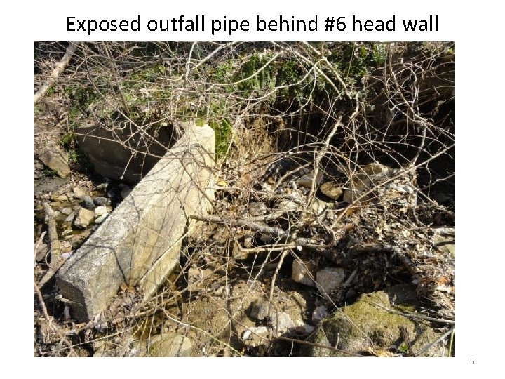 Exposed outfall pipe behind #6 head wall 5 