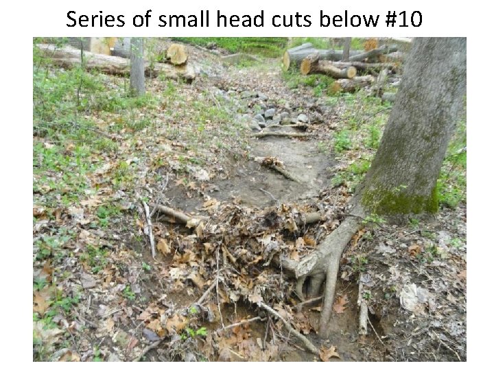 Series of small head cuts below #10 9 