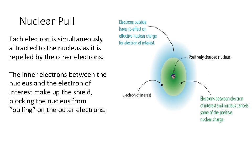 Nuclear Pull Each electron is simultaneously attracted to the nucleus as it is repelled