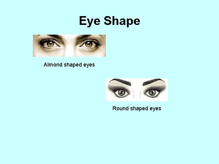 Eye Shape Almond shaped eyes Round shaped eyes 