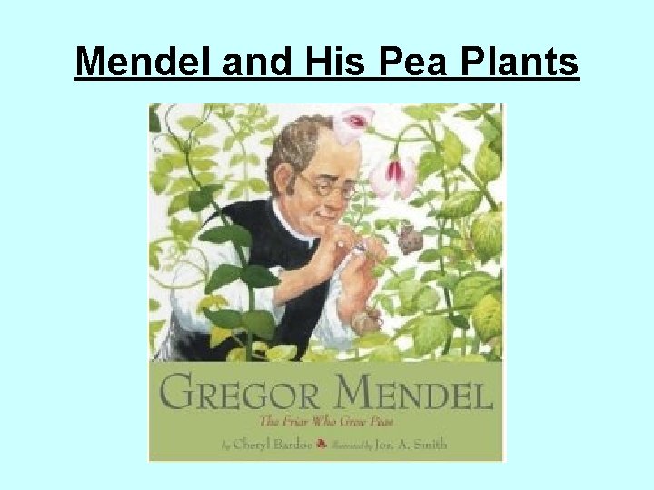 Mendel and His Pea Plants 