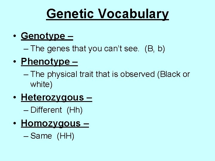 Genetic Vocabulary • Genotype – – The genes that you can’t see. (B, b)