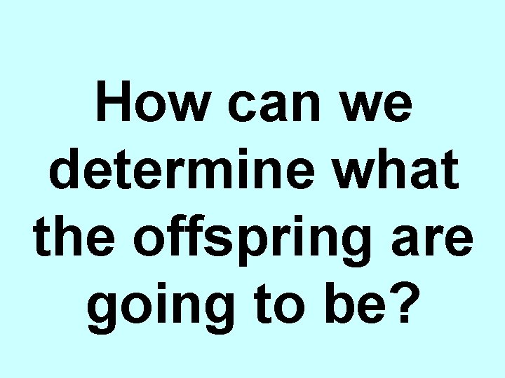 How can we determine what the offspring are going to be? 