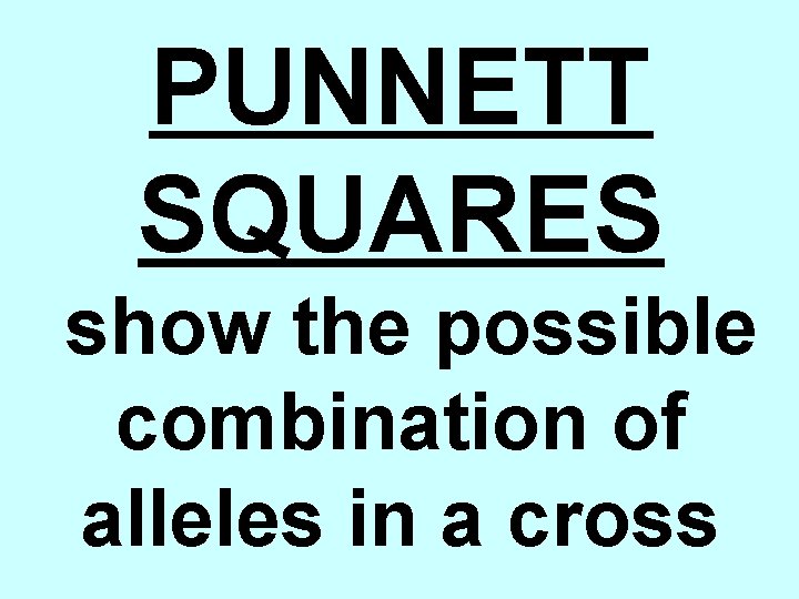 PUNNETT SQUARES show the possible combination of alleles in a cross 