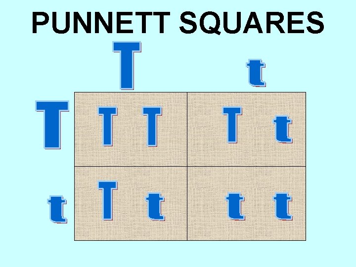 PUNNETT SQUARES 