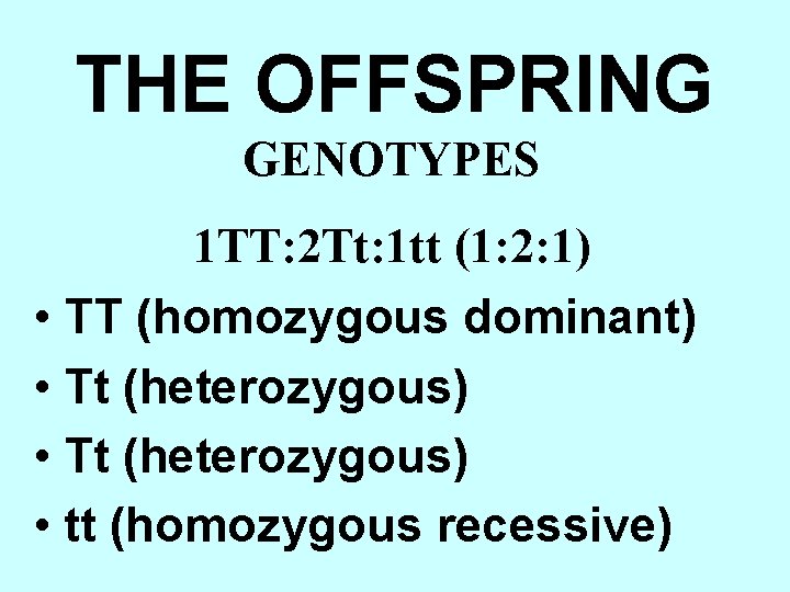 THE OFFSPRING GENOTYPES 1 TT: 2 Tt: 1 tt (1: 2: 1) • TT