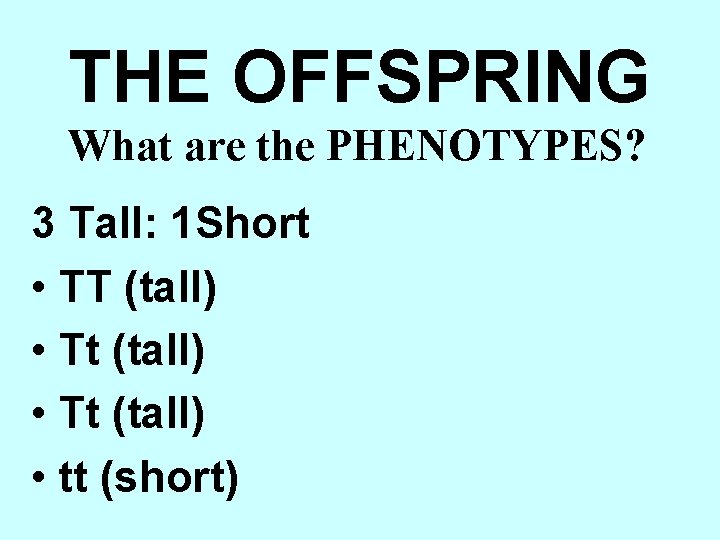 THE OFFSPRING What are the PHENOTYPES? 3 Tall: 1 Short • TT (tall) •