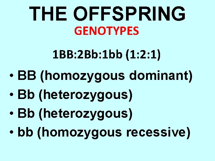 THE OFFSPRING GENOTYPES 1 BB: 2 Bb: 1 bb (1: 2: 1) • BB