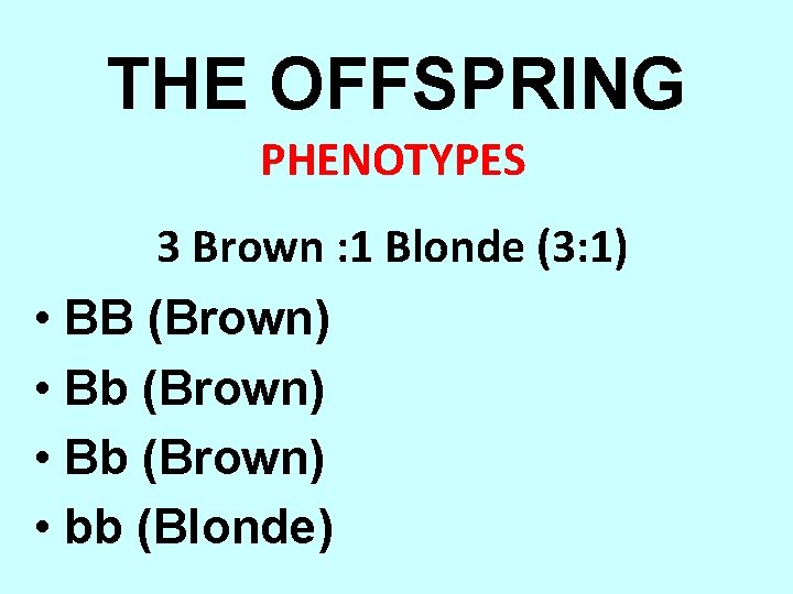 THE OFFSPRING PHENOTYPES 3 Brown : 1 Blonde (3: 1) • BB (Brown) •