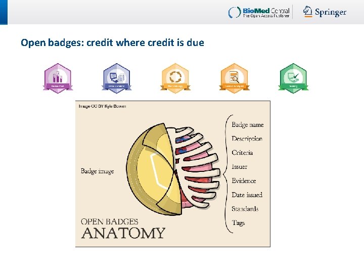 Open badges: credit where credit is due 
