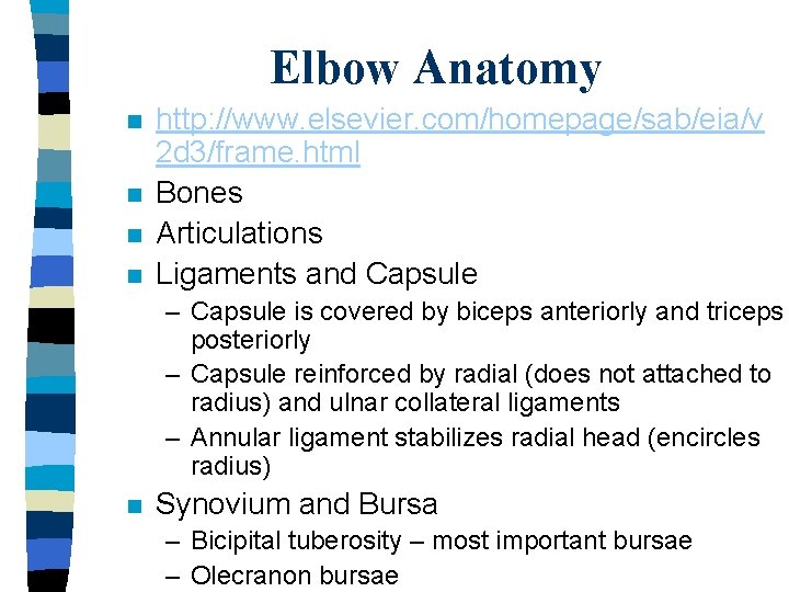 Elbow Anatomy n n http: //www. elsevier. com/homepage/sab/eia/v 2 d 3/frame. html Bones Articulations