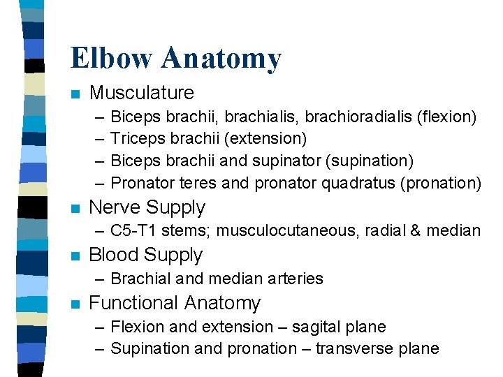 Elbow Anatomy n Musculature – – n Biceps brachii, brachialis, brachioradialis (flexion) Triceps brachii