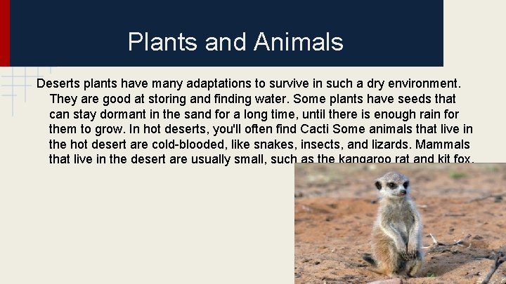 Plants and Animals Deserts plants have many adaptations to survive in such a dry