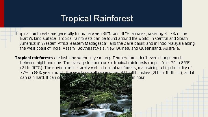 Tropical Rainforest Tropical rainforests are generally found between 30°N and 30°S latitudes, covering 6