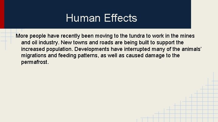 Human Effects More people have recently been moving to the tundra to work in