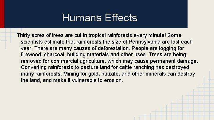 Humans Effects Thirty acres of trees are cut in tropical rainforests every minute! Some