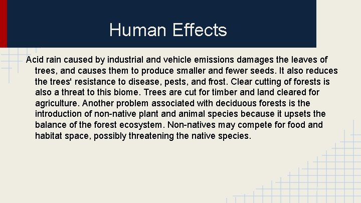 Human Effects Acid rain caused by industrial and vehicle emissions damages the leaves of