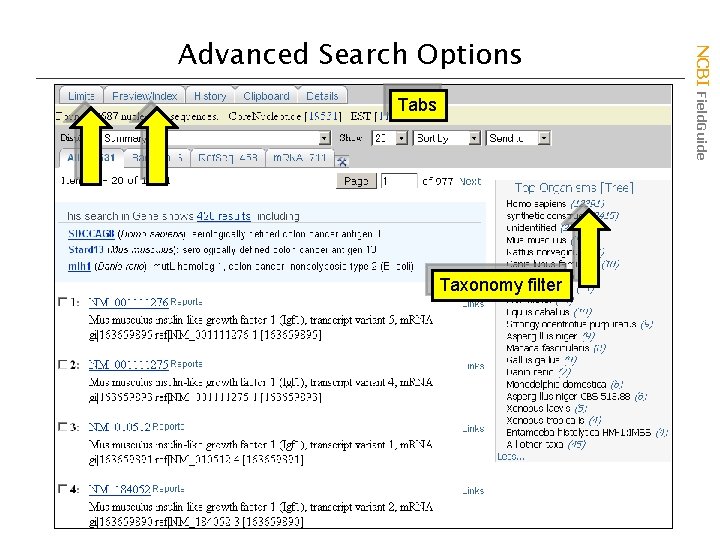 Tabs Taxonomy filter NCBI Field. Guide Advanced Search Options 