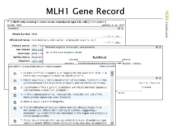 NCBI Field. Guide MLH 1 Gene Record 