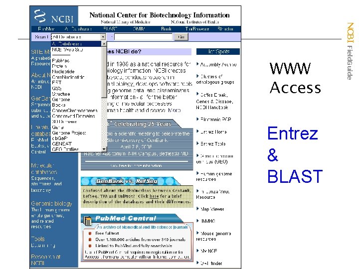 Entrez & BLAST NCBI Field. Guide WWW Access 