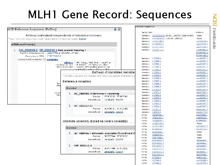 NCBI Field. Guide MLH 1 Gene Record: Sequences 