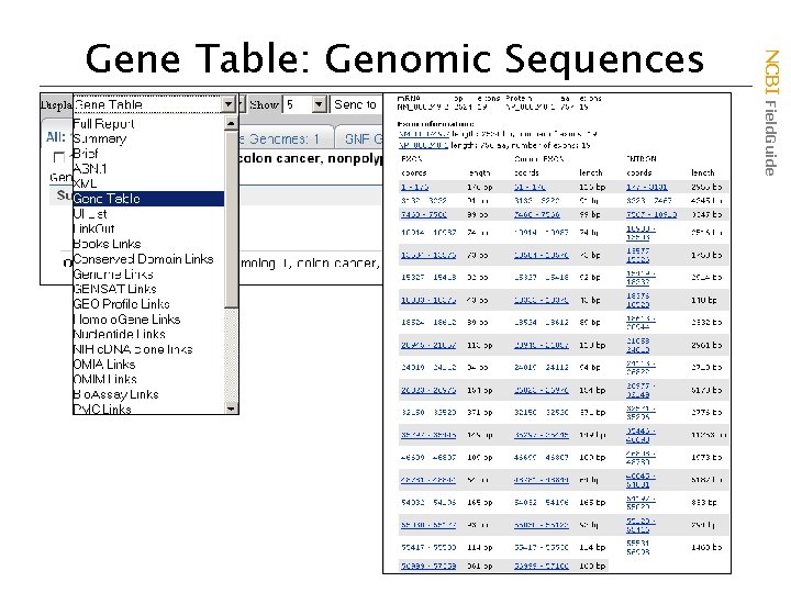 NCBI Field. Guide Gene Table: Genomic Sequences 