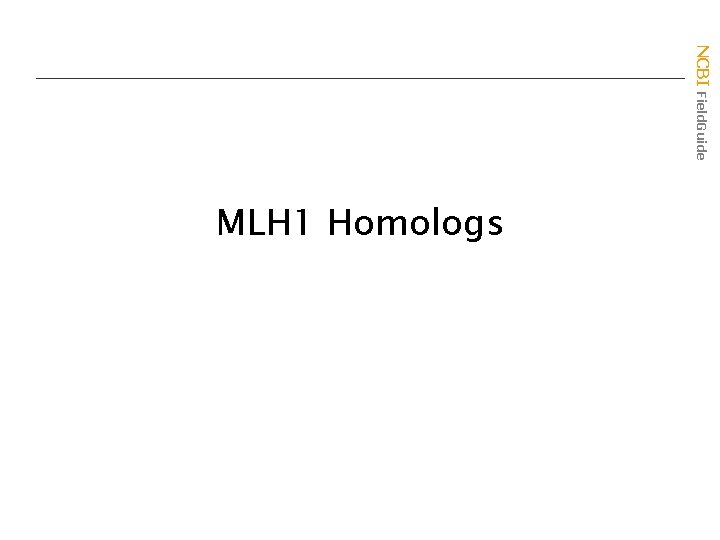 NCBI Field. Guide MLH 1 Homologs 