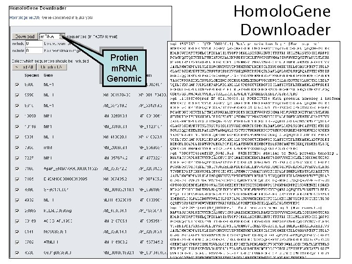 Homolo. Gene Downloader Protien m. RNA Genomic 