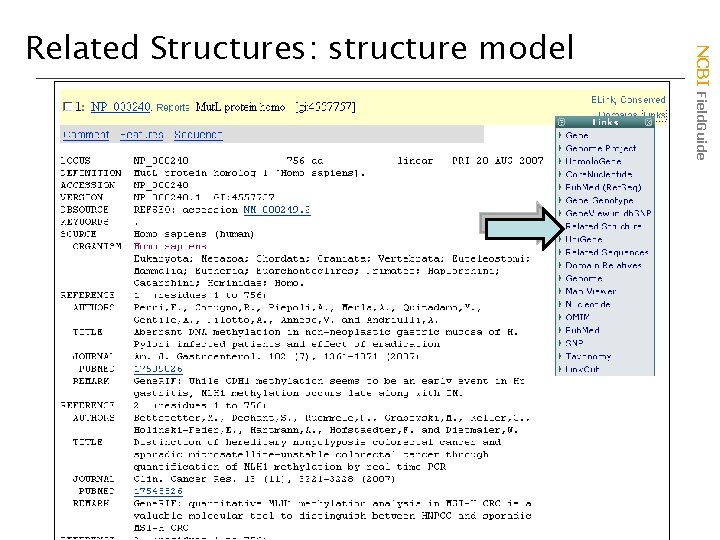 NCBI Field. Guide Related Structures: structure model 