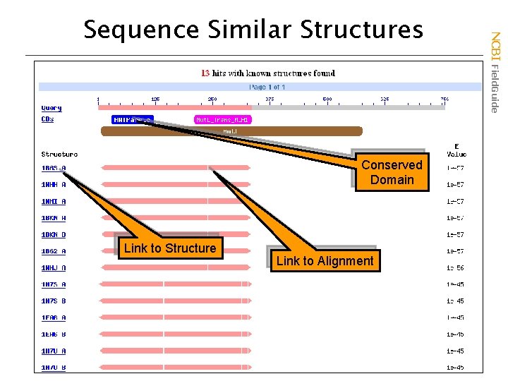 Conserved Domain Link to Structure Link to Alignment NCBI Field. Guide Sequence Similar Structures