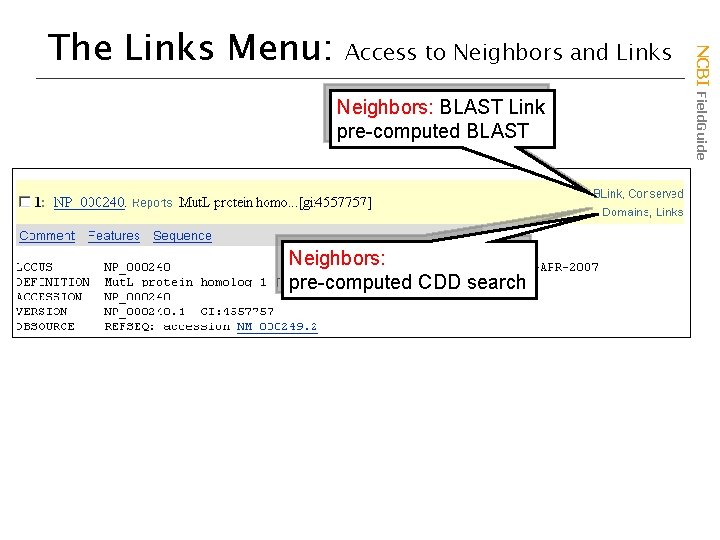 Access to Neighbors and Links Neighbors: BLAST Link pre-computed BLAST Neighbors: pre-computed CDD search