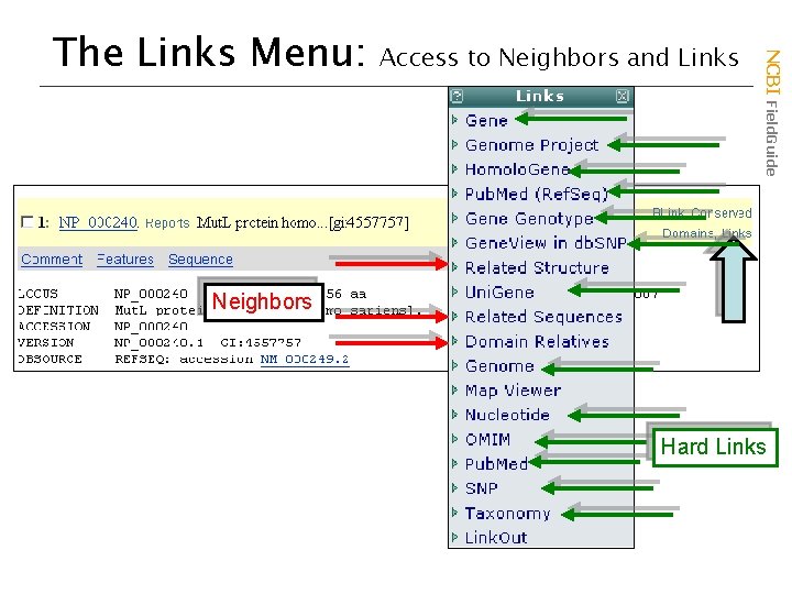 Access to Neighbors and Links NCBI Field. Guide The Links Menu: Neighbors Hard Links