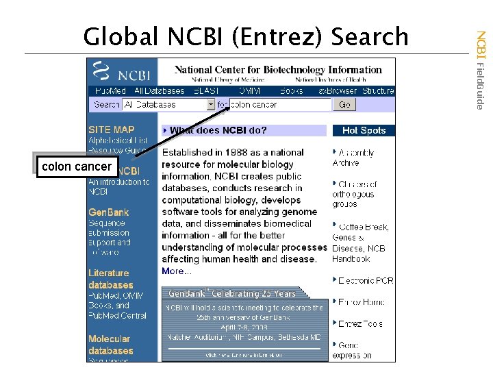 colon cancer NCBI Field. Guide Global NCBI (Entrez) Search 